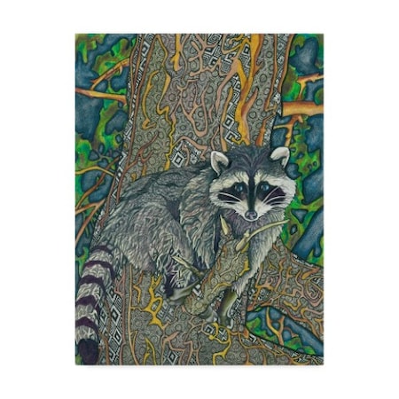 Amy Frank 'Racoon ' Canvas Art,14x19